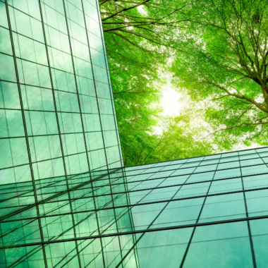 Carbon Border Adjustment Mechanism (CBAM)