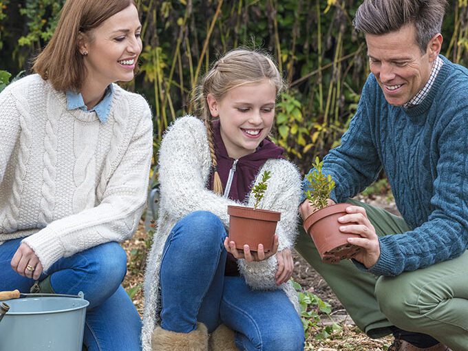 Family business succession planning