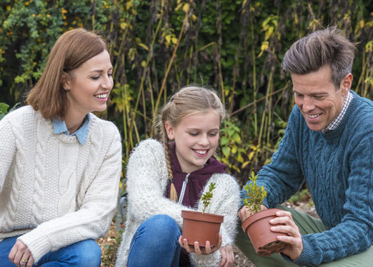 Family business succession planning