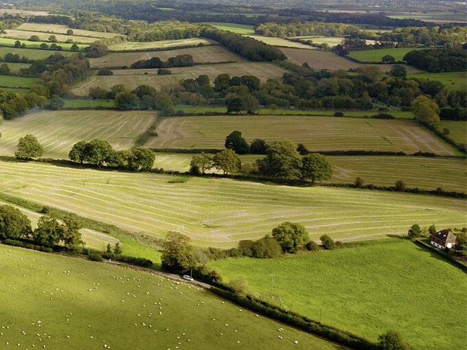 Succession survey report 2024