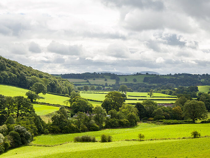 The impact of the accelerated phasing out of delinked Basic Payment Scheme payments