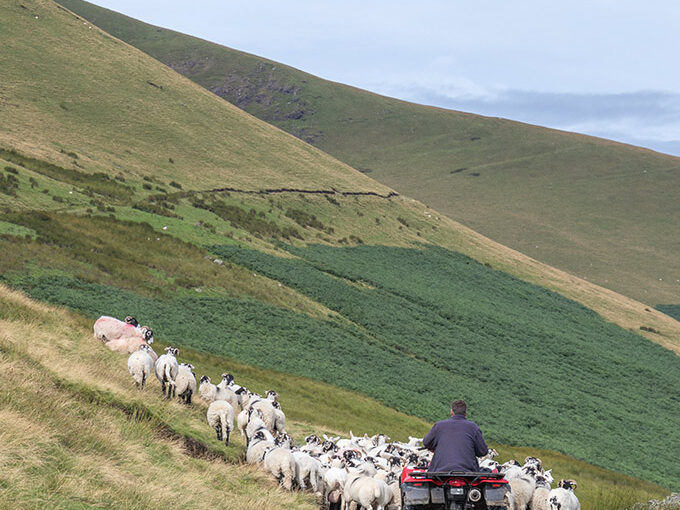 Reforms to APR and BPR and the impact on landowners and rural businesses