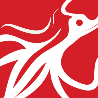 Saffery advises Redsquid on fifth strategic acquisition