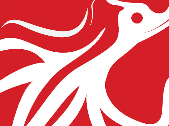 Saffery advises Redsquid on fifth strategic acquisition