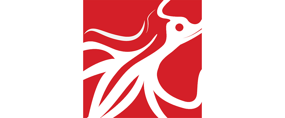 Redsquid logo