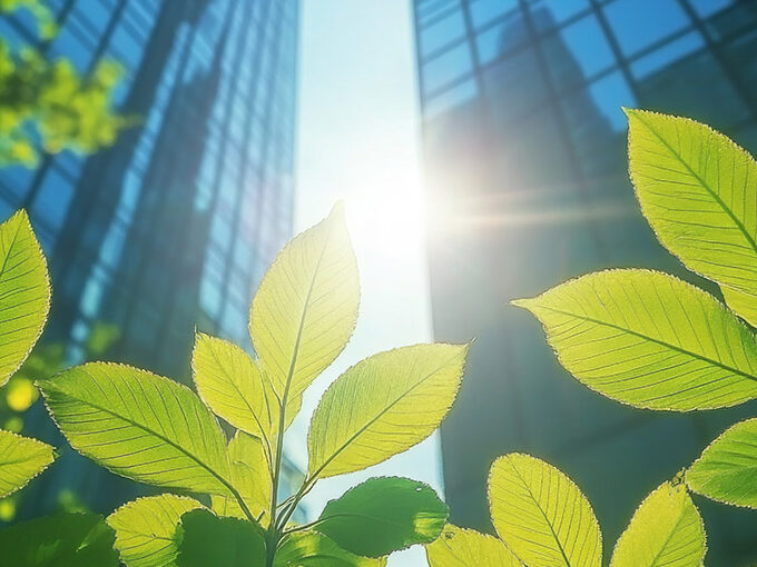 UK Sustainability Reporting Standards