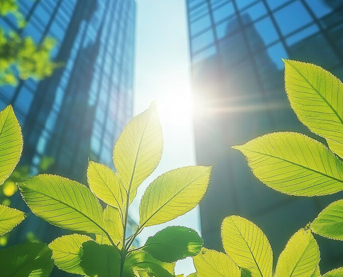 Supporting Saffery Trust (Suisse) S.A. on its decarbonisation journey