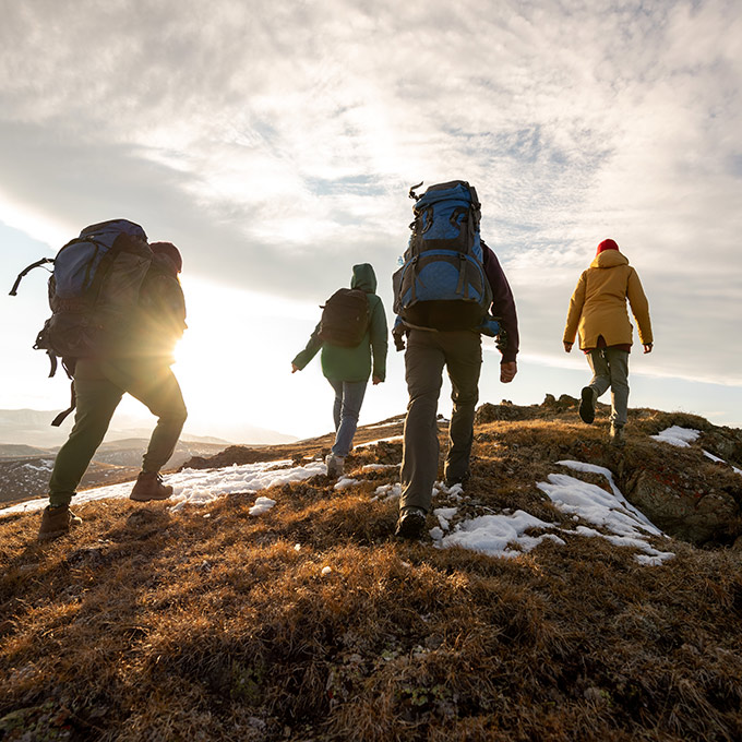 Charities and not-for-profits