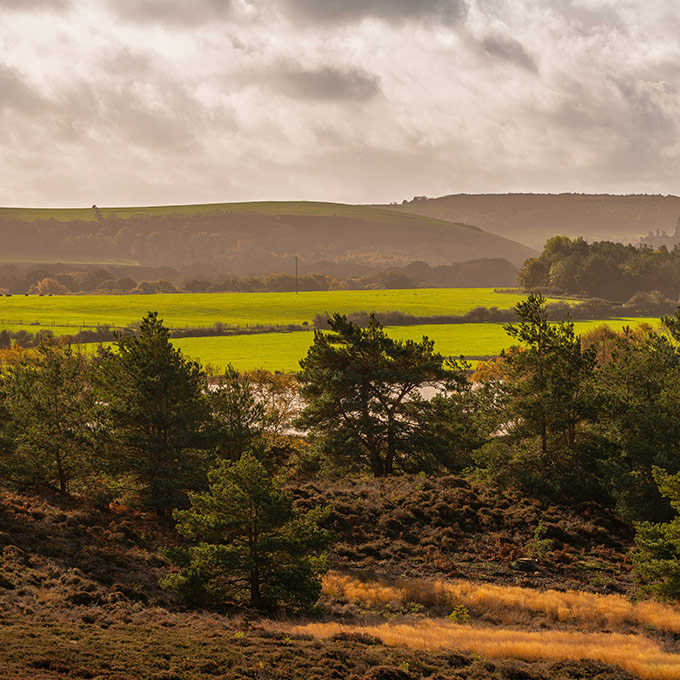 Landed estates and rural businesses