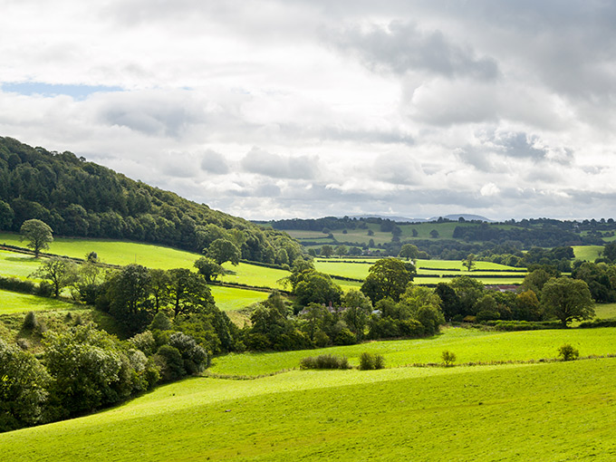 Compulsory purchase orders: tax challenges for rural landowners
