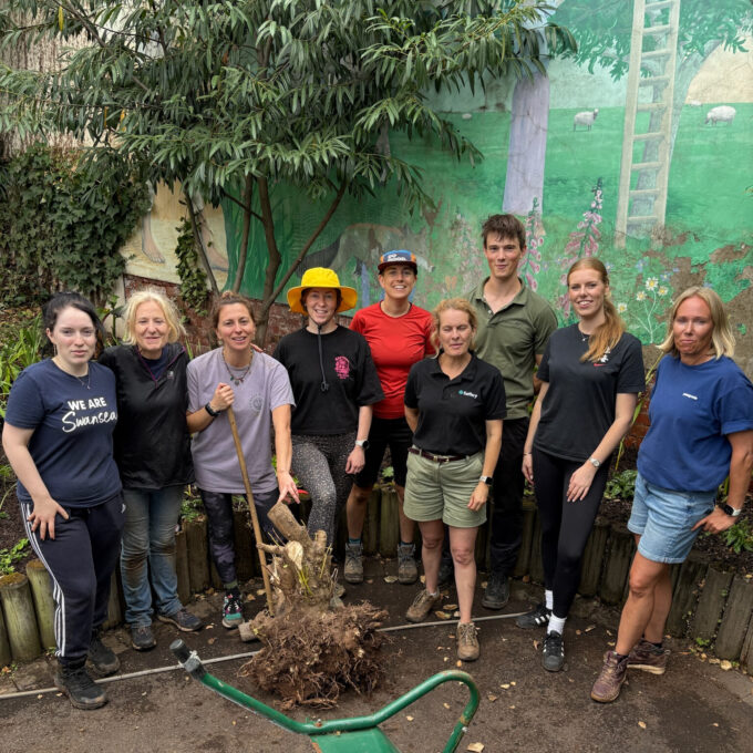 volunteer team