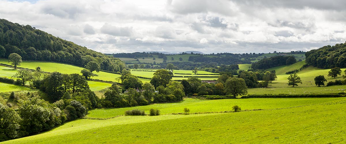 Business Property Relief