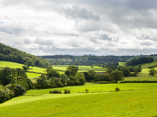 Does my business qualify for Business Property Relief?