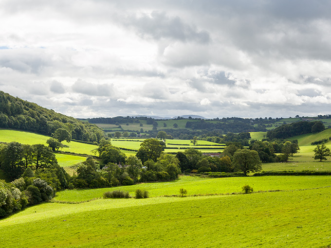 Does my business qualify for Business Property Relief?