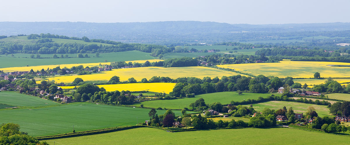 Rural landscape