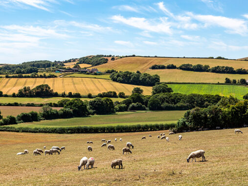 Farm budgeting – why it’s never been more important