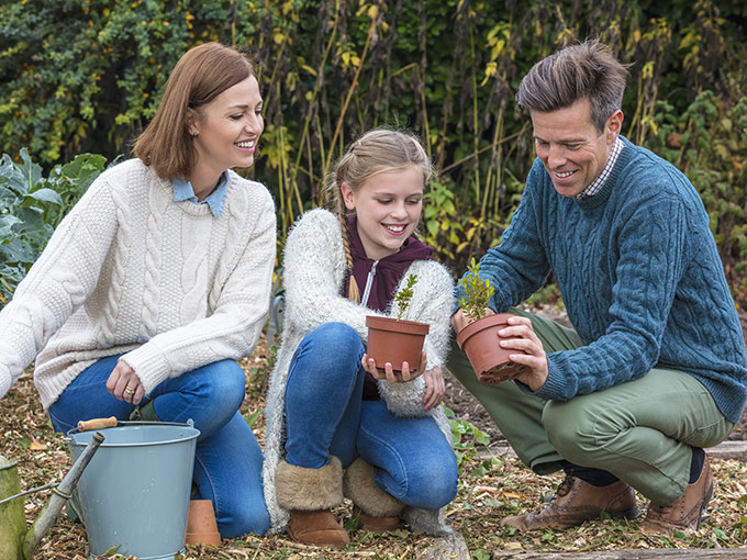 Autumn Budget 2025: A ‘smorgasbord’ of worries for wealthy taxpayers