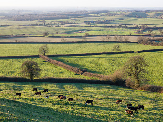 Planned cap on APR and BPR inheritance tax reliefs raised to £2.5m