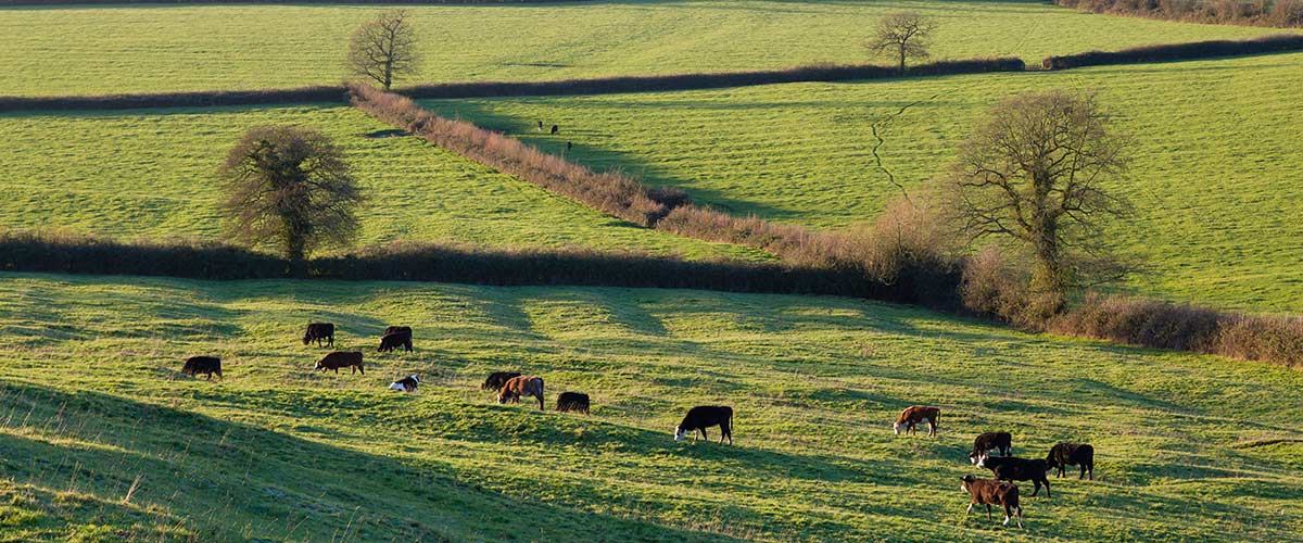 Inheritance tax changes