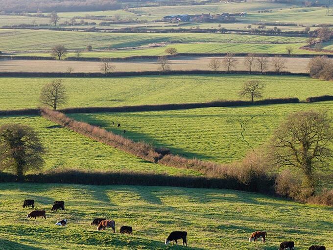 Natural capital after the Budget: what should landowners consider now?