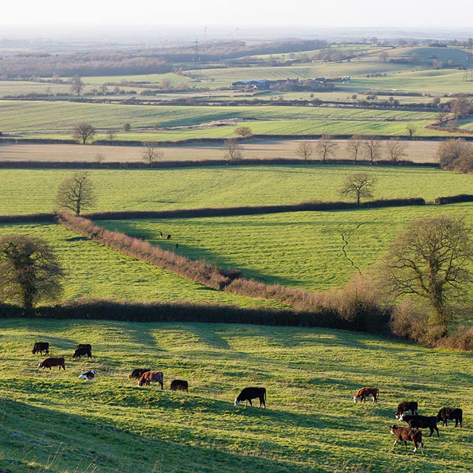 Inheritance tax changes banner