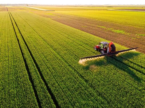 How cloud accounting helps UK agribusinesses improve efficiency, compliance and decision making