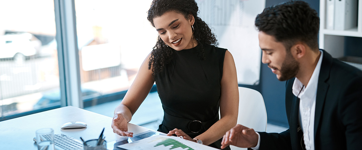 Business Risk Review