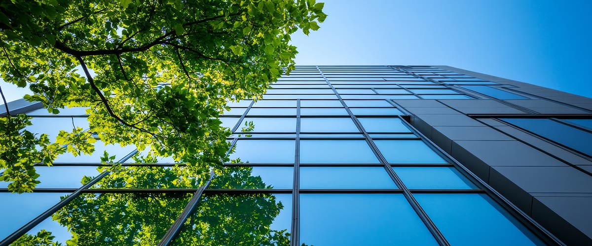 Sustainability Reporting Standards (SRS) webinar