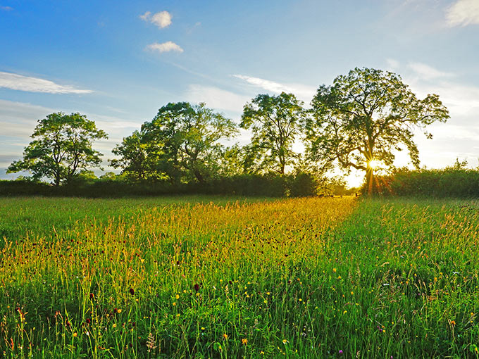 HMRC guidance on the taxation of ecosystem service payments