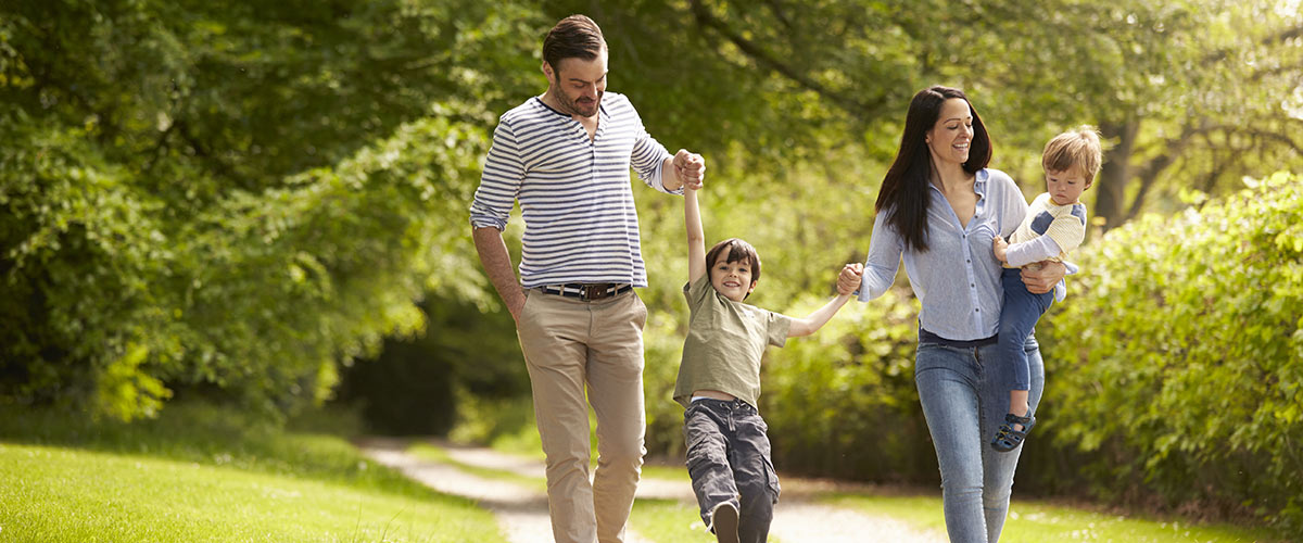 VAT on family attractions