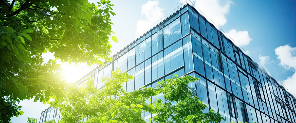 Net Zero
