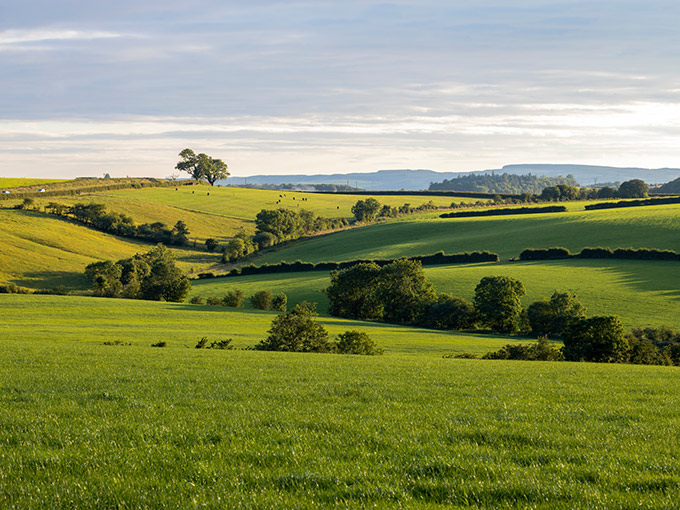 How FRS 102 lease accounting changes could affect landed estates and rural businesses