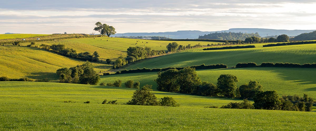 FRS 102 and rural businesses