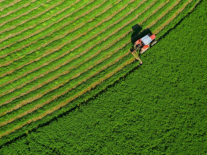 Farm diversification tax: APR and BPR considerations