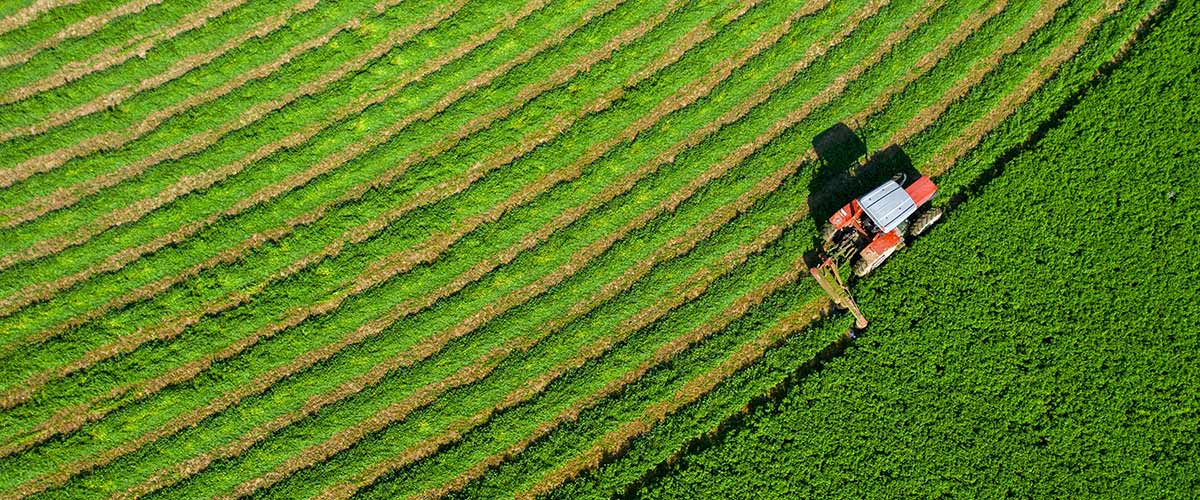 Land diversification