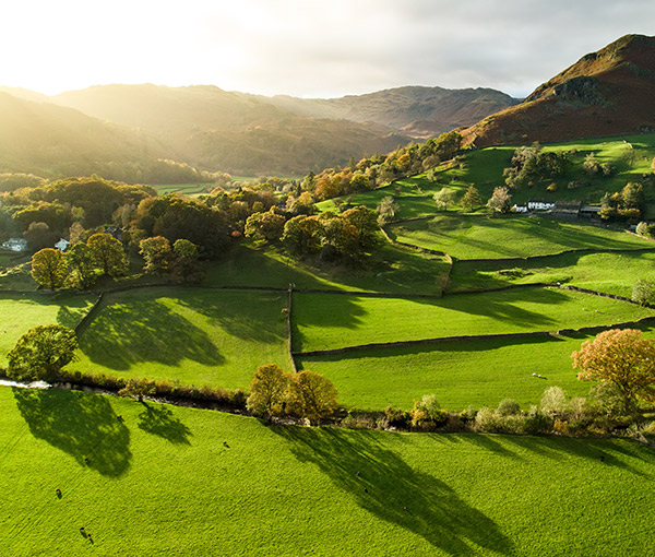 Rural Business Update 2026 and Festive Drinks – London