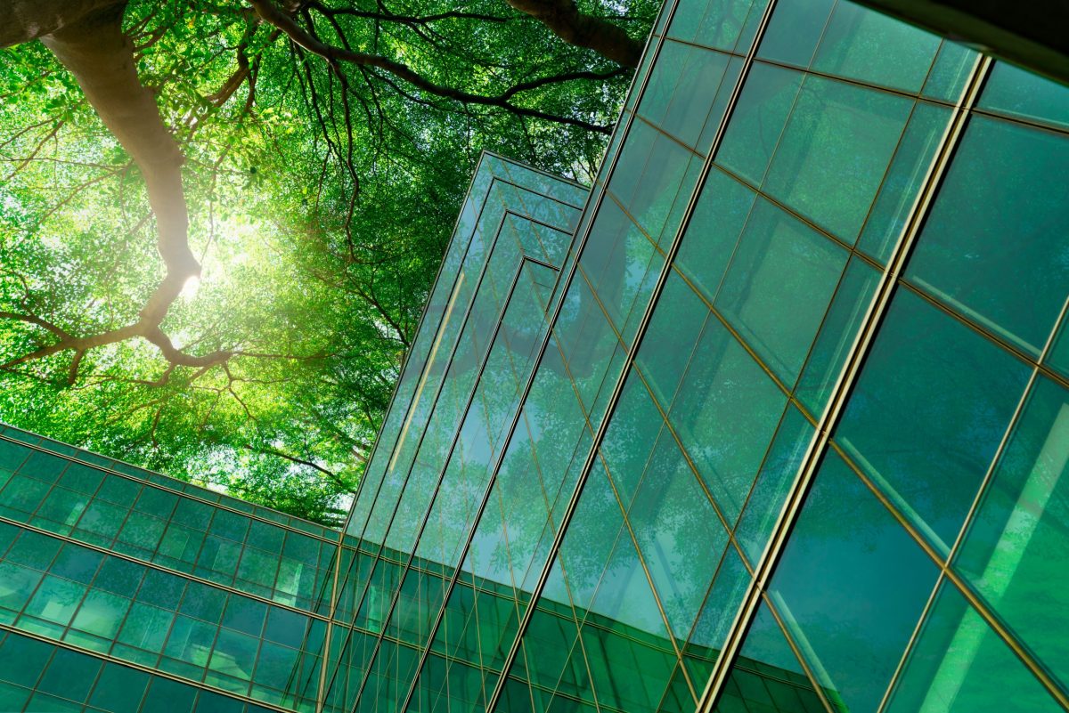 Q&A: ESG & sustainability within the wealth industry