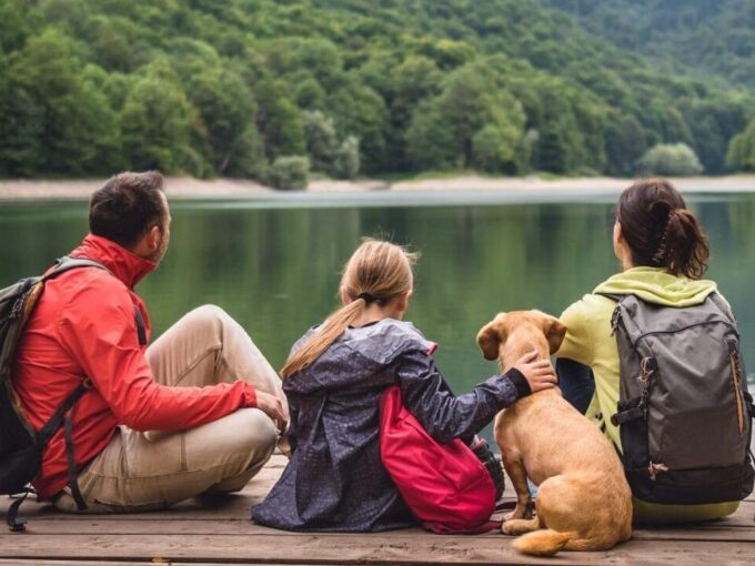 Taking your family office into your own hands