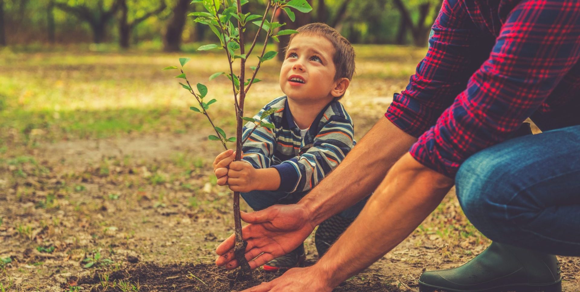 The path to wealth preservation in uncertain times